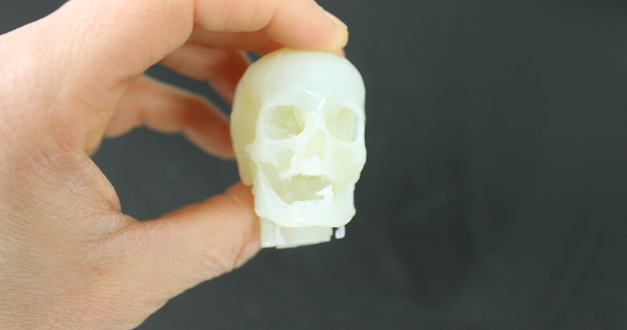 Skull Model 3D